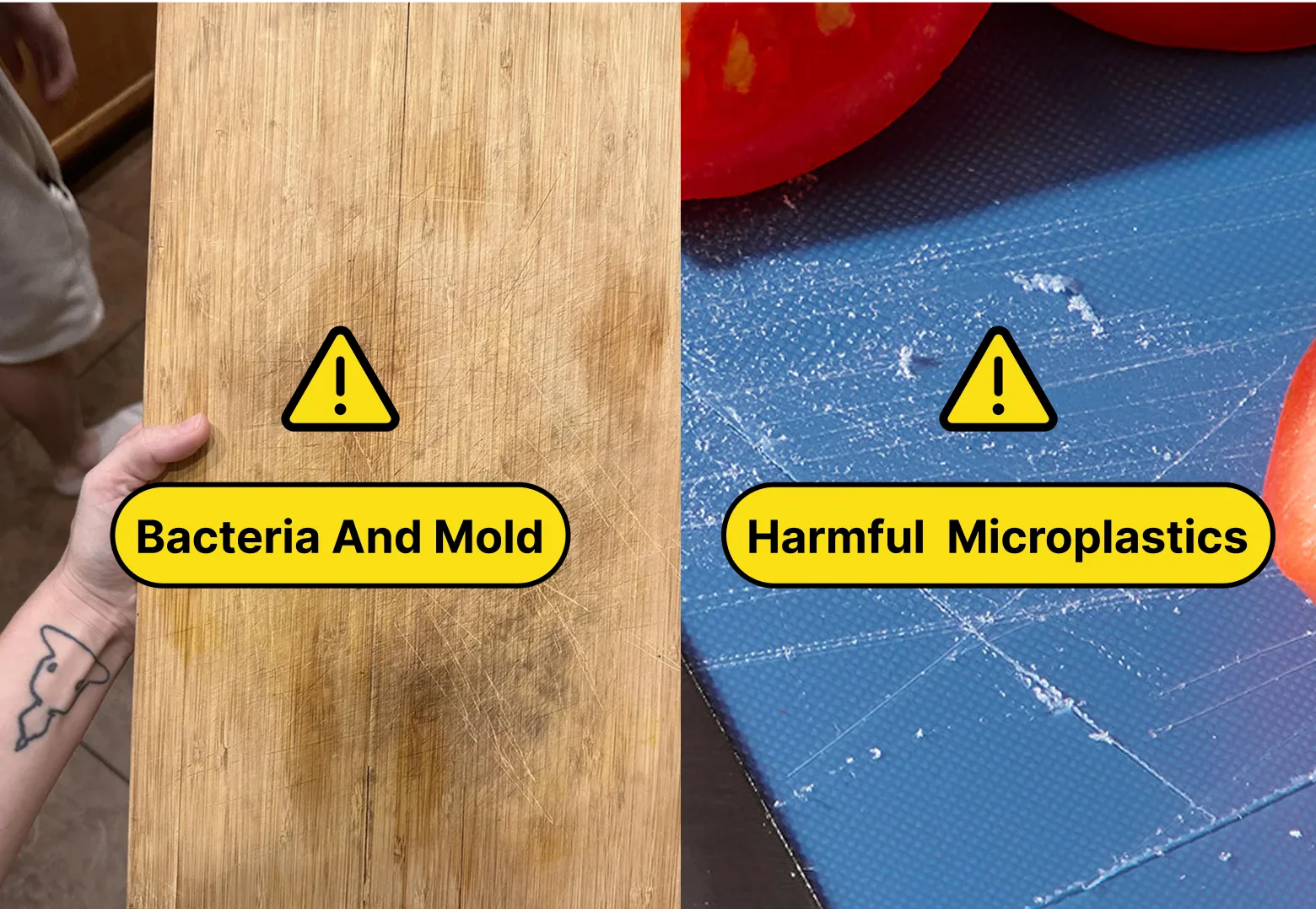 bacteria and mold