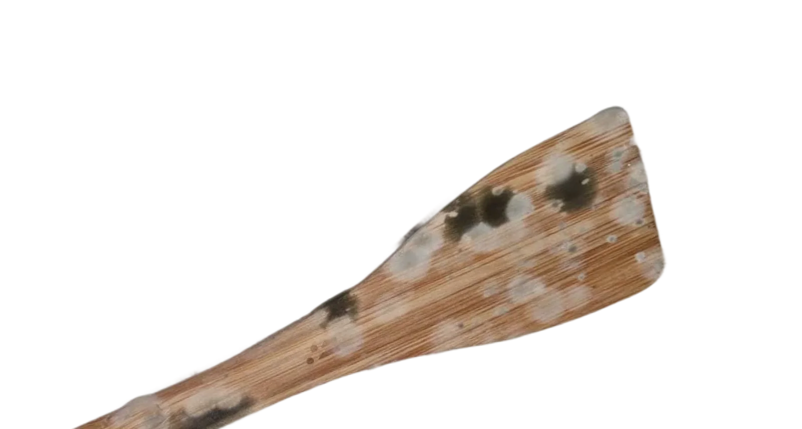 wooden spatula